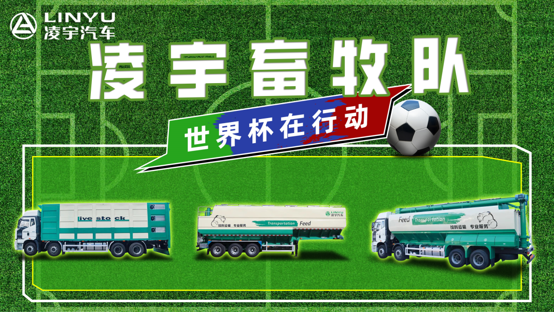 奪冠世界杯！你注意到這支球隊了嗎？